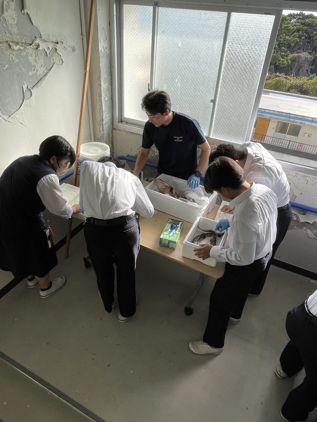 Image - 2025-12-01T173106.618